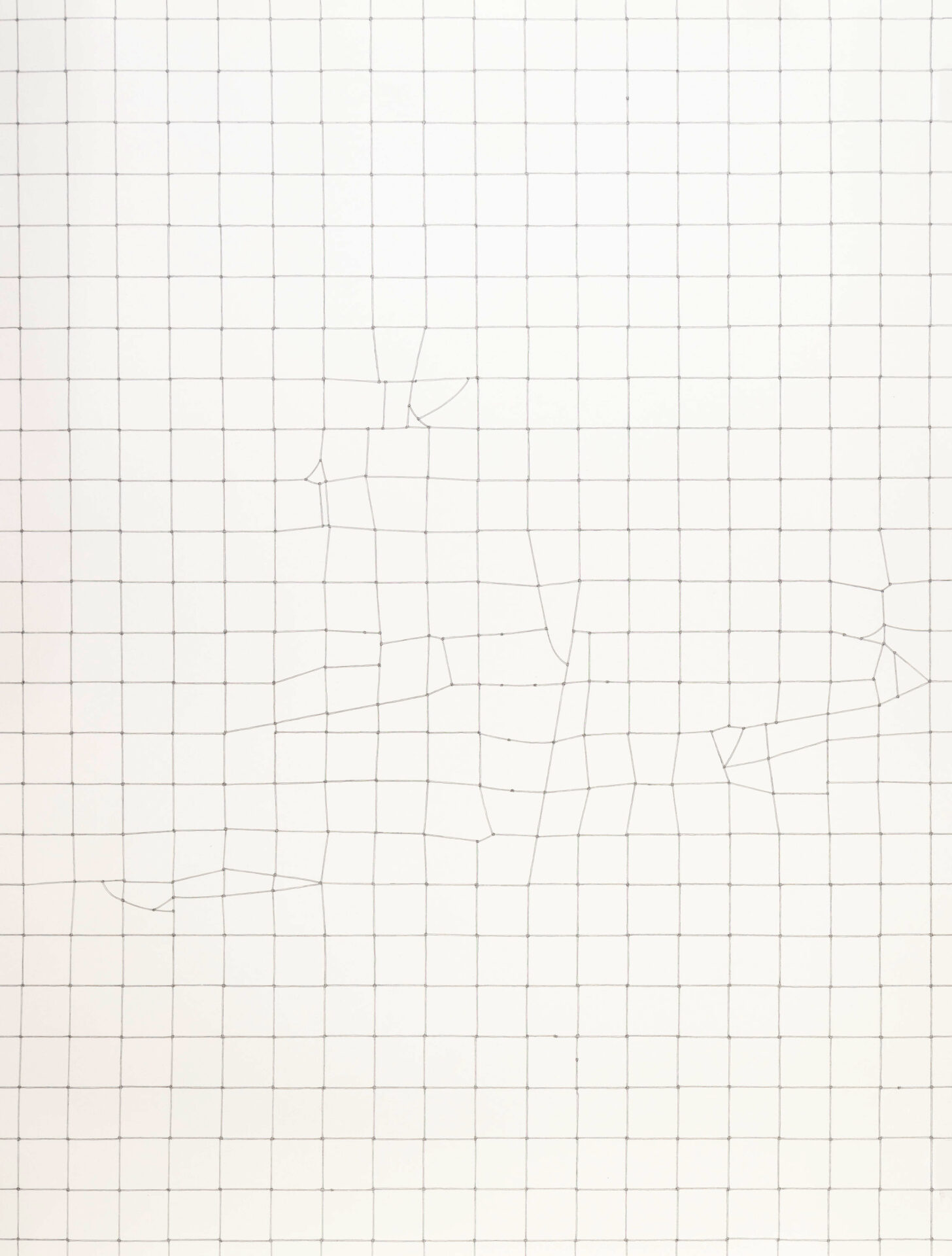 Fine line drawing of a net laid out in a grid with occasional changes and breaks to the pattern.